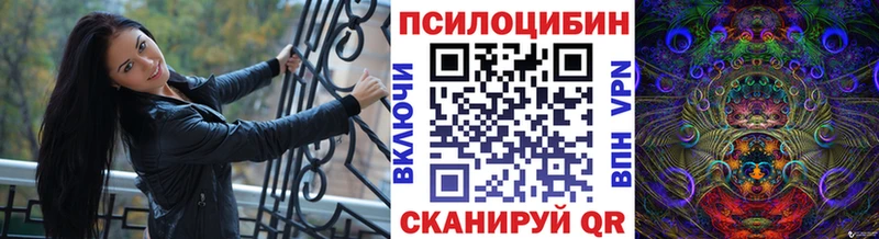 Галлюциногенные грибы Psilocybine cubensis  Терек 